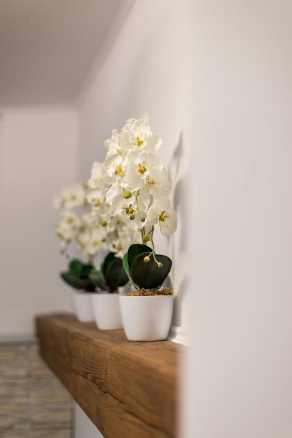 Orchideen Apartment วิลลาค ภายนอก รูปภาพ